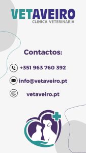 Cartao_Vet_Aveiro